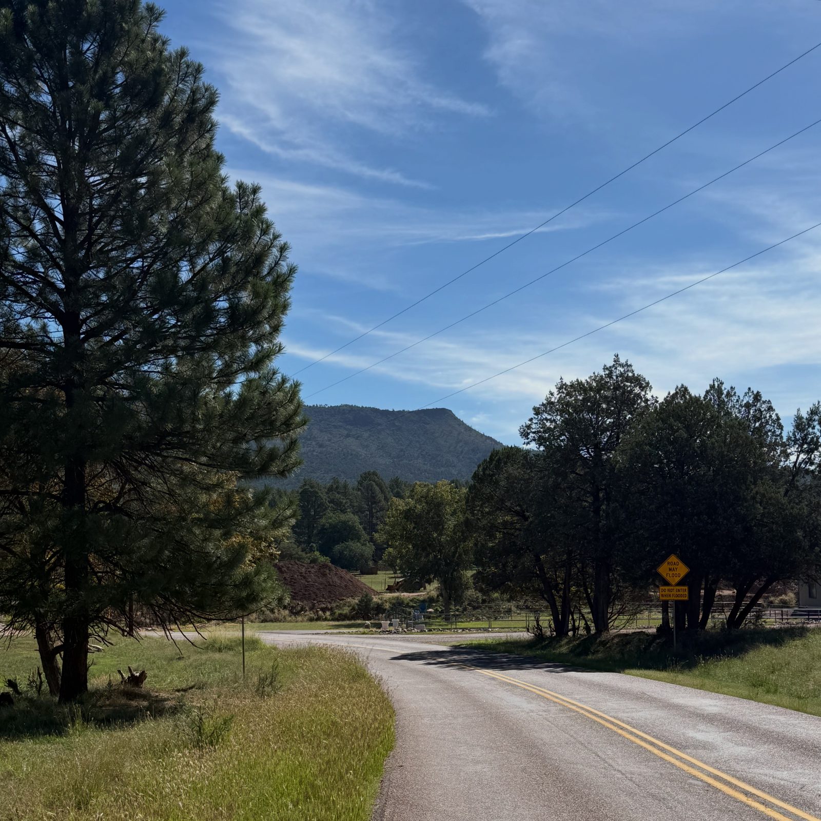 A quiet two-lane road through pines toward a mountain, shot by Spencer